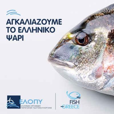 ΕΛΛΗΝΙΚΗ ΟΡΓΑΝΩΣΗ ΠΑΡΑΓΩΓΩΝ ΥΔΑΤΟΚΑΛΛΙΕΡΓΕΙΑΣ (ΕΛΟΠΥ) 