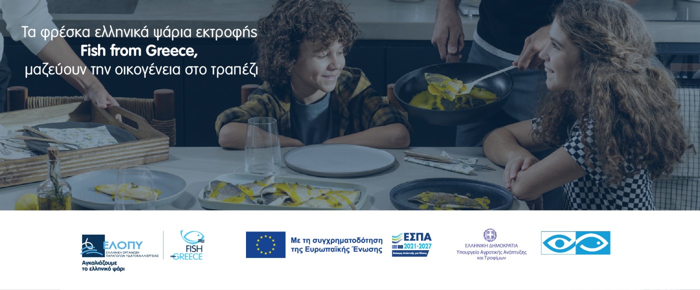 ellopy banner 1200x200 12