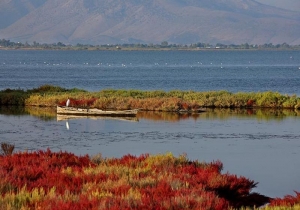Αμβρακικός κόλπος: Μια θάλασσα από λίμνες (www.travelbook.gr)