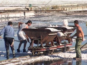 Όταν η συλλογή άλατος στις Αλυκές Μεσολογγίου γινόταν με το τραινάκι (φωτο)