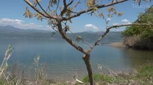 Αιτωλοακαρνανία: «Τι Μαθαίνεις μέσα σε 50 Χιλιόμετρα»