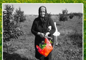 ΜΑΡΙΑ Ν. ΑΓΓΕΛΗ: Πάμε για λάχανα; Λαχανάδες, λαχανούδες και άγρια λάχανα…