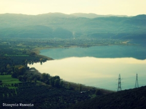 Η ιχθυοπανίδα της Τριχωνίδας (www.oikipa.gr)