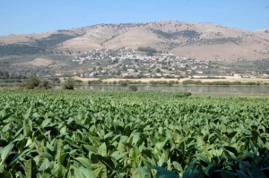 Πανέμορφες εικόνες από τη λίμνη Αμβρακία (φωτο)