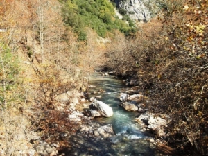 Τα απολιθώματα της παραλίας Αγριλιάς, που βρίσκεται ανάμεσα στον Αστακό και τον Μύτικα.