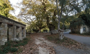 Το χωριό φάντασμα της Αιτωλοακαρνανίας που ακόμα τρέχει νερό στη πέτρινη βρύση… Τι απέγιναν οι κάτοικοι (βίντεο) (www.mixanitouxronou.gr)